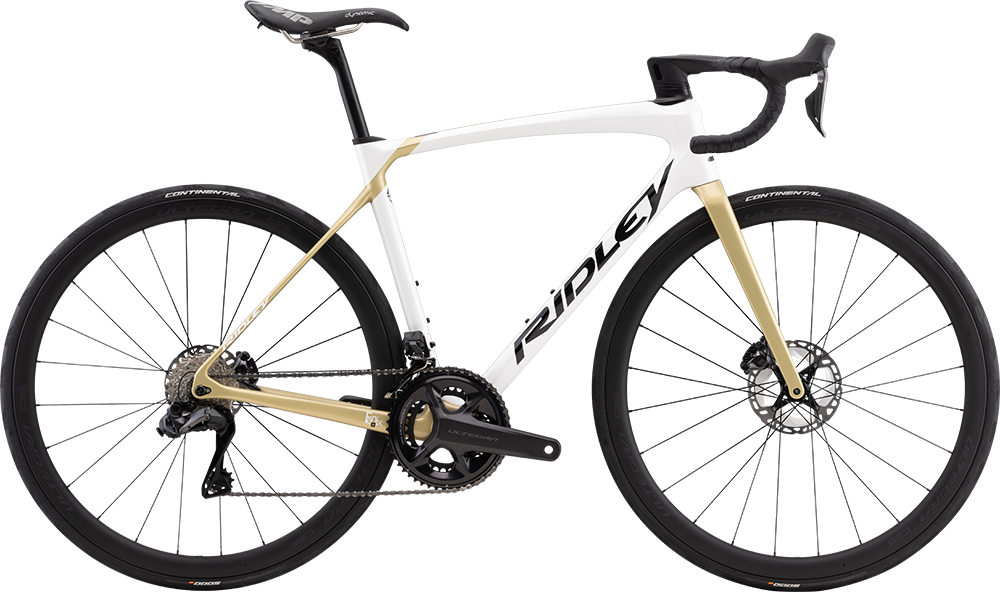 RIDLEY 2023 Fenix SLiC Champagne - リドレー フェニックス スリック シャンパーニュ 受注しています - 高知の自転車専門店 Cycling Shop ヤマネ