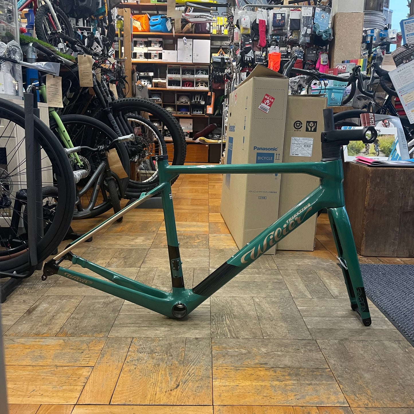 GARDA Green/Gold