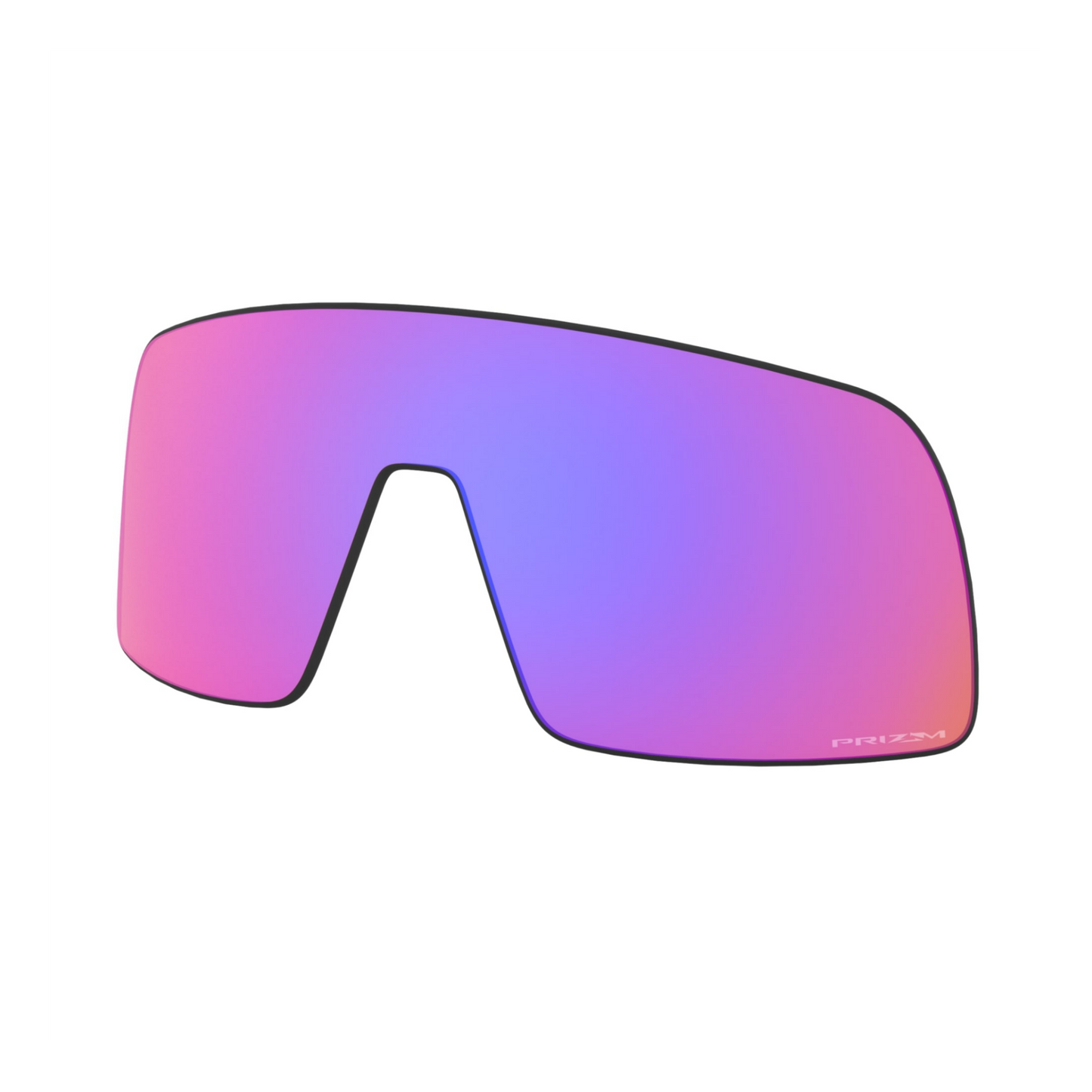 Replacement Lenses