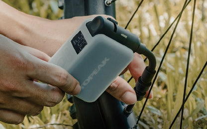 E-BOOSTER DIGITAL